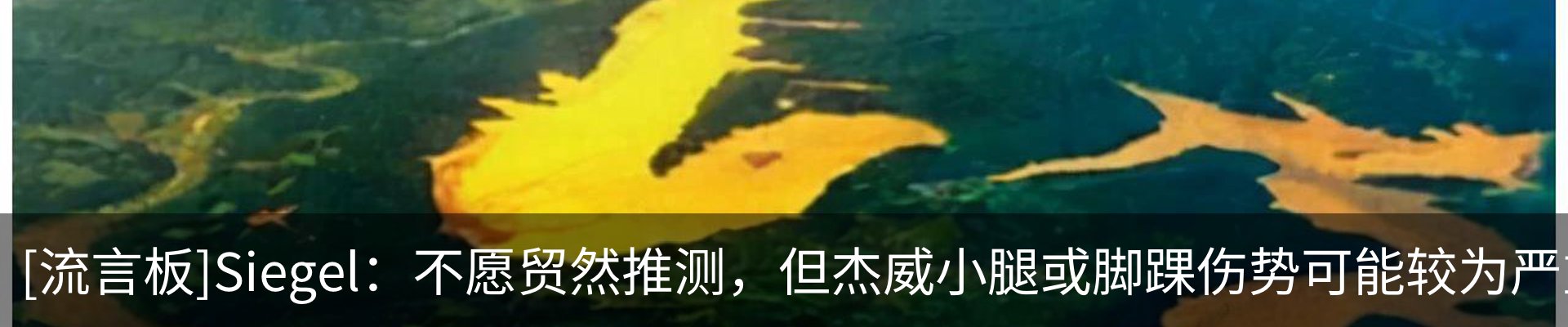 资讯动态